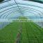 vegetable greenhouse polycarbonate sheet fim
