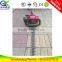 Two stroke hedge trimmer