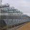 Factory Price high quality multi span tempered glass covered greenhouse for agriculture