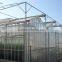 Glass greenhouse panels With Strawberry And automatic Window Opener
