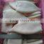 Frozen fresh new produced U5 squid tube