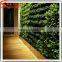 Latest design Garden vertical green wall factory price grass wall decor decoration beautiful fake grass for crafts