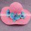 Collapsible Butterfly Straw Hat Blue Flower Large Eaves Sunscreen Beach Hat