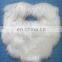 Wholesale Party Christmes Santa Mustache Fake Beard