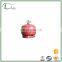 Empty camping 2kg lpg cylinder with burner for household