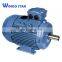 IE2/IE3 Three Phase construction Squirrel Cage Fan Induction Electric Motor