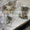 knotter parts markant 2200/3200 for Hay bales square baler combined baling machine for steel