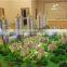 3d architectural visualization,rendering,interior and landscape design,modeling, house plan scale models