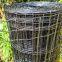 Highly Durable Holland Welded Wire Mesh pictures & photos