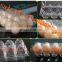 PLA automatic thermoforming vacuum forming machine