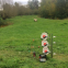 (electric fence) electric poly tape width 40mm for horses in Brazil