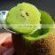 2021 New Crop Fresh Sweet Kiwi Fruit