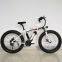 21speed 26inch Fat Tire Electric Bike Aluminum Alloy E-bike