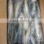 Landing frozen pacific mackerel with size 80-100 pcs / 10kg