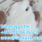 Netherlands Warehouse BMK White Odorless Powder Diethyl(phenylacetyl)malonate CAS 20320-59-6