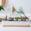 Amazon Hot Sold Square Flower Pot Wholesale Bonsai House Plant Ceramic Succulent Indoor Minimalist White Pots