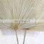 !00% Nature cheap in Bulk Palm Leaf Fan Wall Art Traditional Woven Decoration Best Price Wholesale