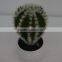 Best selling high simulation mini artificial succulent plants tropical plants series