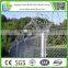 Black 6ft chain link fence for tree protection