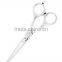 Professional Hair Scissors SM