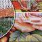 Tapestry of chinese waterful flowers for wall decoration