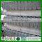 Q235 Pre-galvanized pipe