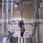 cattle bleeding line for slaughter houses for cattle slaughtering