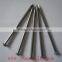  Express Common Nails ( factory price)