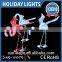 High Quality Flamingo Sculpture Led 3d Motif Light Animal Holiday Decoration Lighting