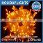 Indoor & Outdoor Christmas Decoration Led Lights/holiday Time Led Lights