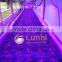 Lumini new generation commercial grow led lights