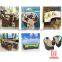 Outdoor Modern wicker Garden set / Outdoor Furniture