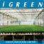 Greenhouse water fogging system