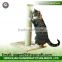 High Quality Cat Grooming Brush Cheap Arch Self-Grooming Cat Toy