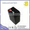 Deep Cycle 4v2ah SLA Battery Rechargeable for Emergency Lamp