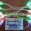 Leaf LED string light for Christmas decoration