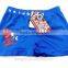 Cartoon Boy Shorts Boxer Manufacture In China OEM Nice Classic Kids Underpants children seamless kids underwear