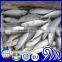 China IQF Frozen Round Scad Seafood Fish For Exporting