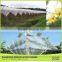China Products 100% Virgin Hdpe Apple Tree Anti-Hail Net