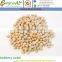Chick Peas l Kabuli Chick Peas l Indian Kabuli