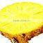 GMP Certified Manufacturer Supply Pineapple Extract Powder