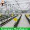 Commercial hydroponics systems greenhouses for sale