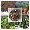 Coarse Expanded Vermiculite as growing medium for organic gardening