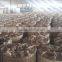 Good discount!Best welded mesh wholesale price/3or 4 ft high galvanized welded mesh roll for dog house,garden fence or bird cage