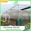 Low cost greenhouses used greenhouse