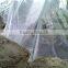 Garden Used Agricultural Greenhouse Tunnel Film on Sale
