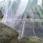 Garden used agricultural greenhouse tunnel film on sale