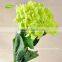 FLH012-4 fresh hydrangea preserved flower for wedding decorative artificial flower shop
