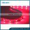 Plant growth LED lights
