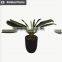 Artificial bonsai leaves green artificial bamboo tree tall phyllostacgys edulis bamboo